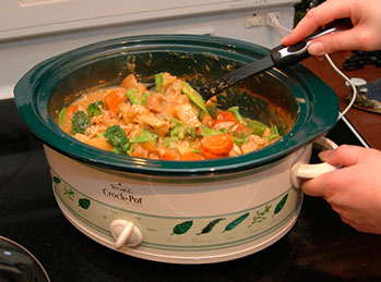 chicken stew slow cooker